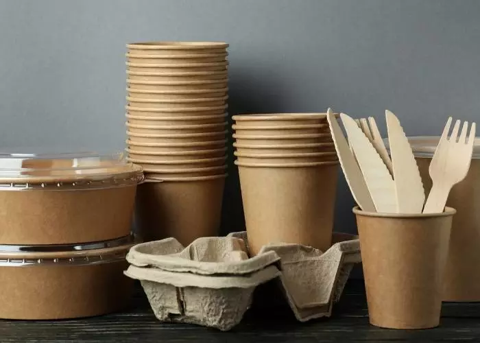 Delivery Containers for Takeaway Food Delivery Containers for Takeaway Food