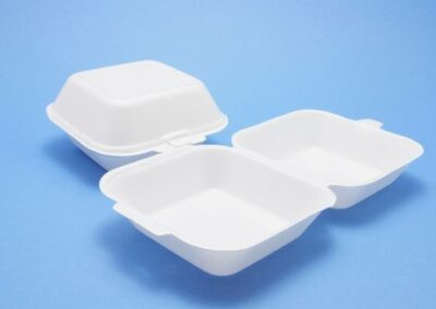 Polystyrene Food Box
